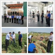 中国一乡一品产业促进计划专家组应邀走进河南考察特色产业