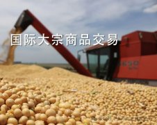 农产品交易中心是助力区域经济新质生产力发展的有力抓手