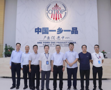 阜新市人民政府赖化平副市长一行来访中心参观交流