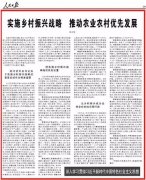 中央农办主任：县委书记要把乡村振兴变成一把手工程