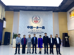 怀化市人民政府副市长杨林华一行来中国民贸一乡一品产业促进中心参观交流