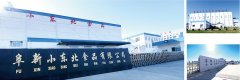 阜新小东北：速冻食品做出美味大文章 ——2020一乡一品国际商品博览会参展龙