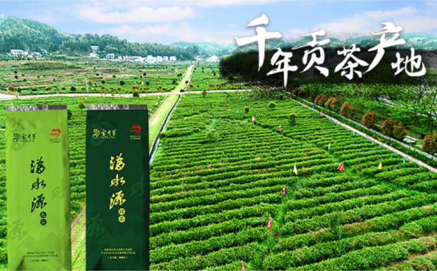 图片 1.png