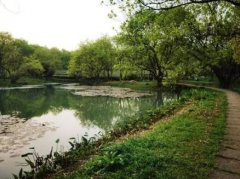 中国民族贸易促进会在助力文化产业过程中赋能乡村振兴