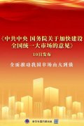 从依托“统一大市场”，看中国一乡一品高质量发展三年行动方案