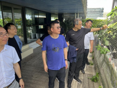 蓝军赴粤港澳大湾区专题调研 | 会员企业及合作企业复工复产情况