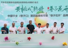 黄桃成熟时·巷子花开  宁乡巷子口第四届黄桃节盛大启幕