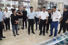 潮起山城万木蕤|中国民族贸易促进会赴渝调研侧记