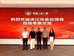 洪江市政协党组副书记李安生一行莅临中国一乡一品产业促进中心考察交流
