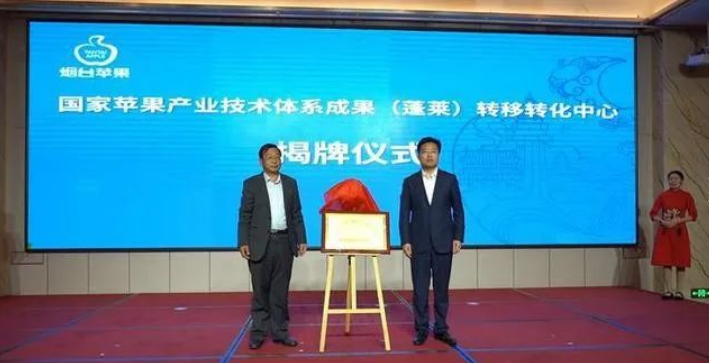 WPS图片(3).png