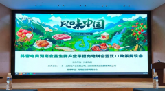 中国一乡一品丨抖音电商湖南食品生鲜产业带招商培育会暨双11政策解读会在长