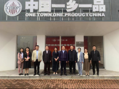 海南省农业农村厅领导一行到访中国民贸一乡一品产业促进中心考察交流