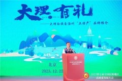 【大会风采】去有风的地，大理特色产品亮相第七届全国民族地区高质量发展大