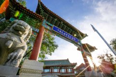 中国民贸深入贯彻二十届三中全会精神，全力促进民族贸易与乡村振兴深度融合